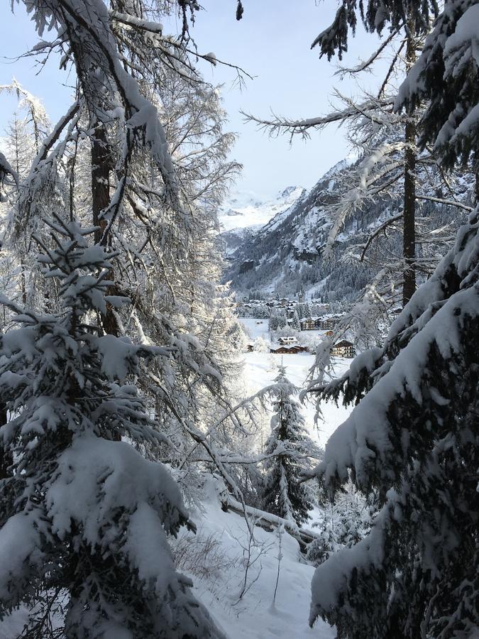 Hotel Gran Baita Gressoney-Saint-Jean Eksteriør bilde